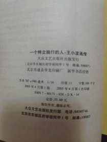 王小波画传