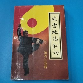 武当纯阳秘功