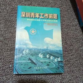 深圳青年工作前瞻:第四届深圳青年工作研讨会论文选编