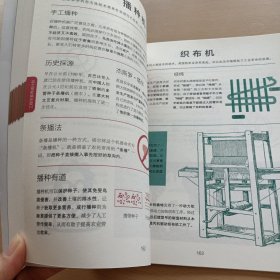 工程学家养成计划