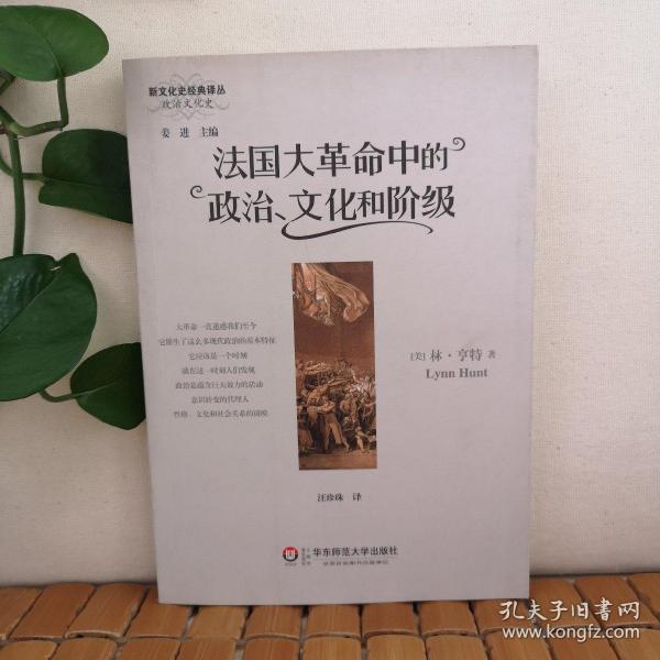 法国大革命中的政治、文化和阶级