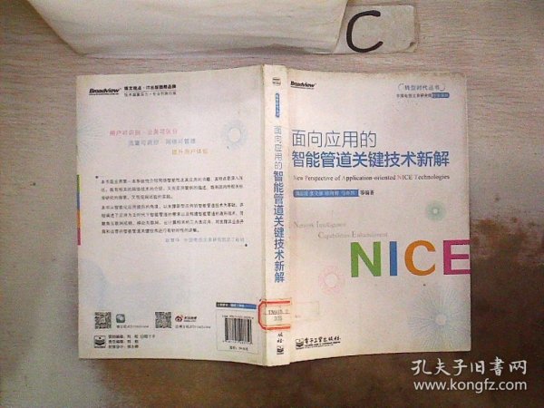 转型时代丛书：面向应用的智能管道关键技术新解