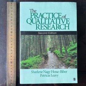 The practice of qualitative research  how to do research 英文原版