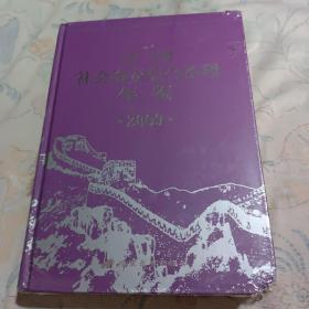 中国社会治安综合治理年鉴2009