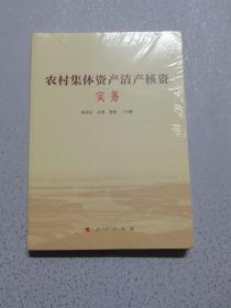 农村集体资产清产核资实务（全新未开封）