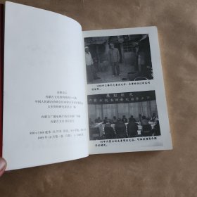 赤胆忠心(内蒙古文史资料第四十八辑)