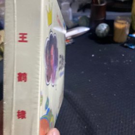 王鹤棣轻奢限量宝盒