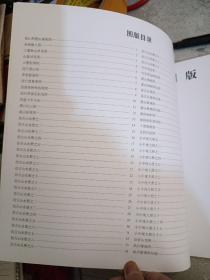 中国画大师经典系列丛书，王翚