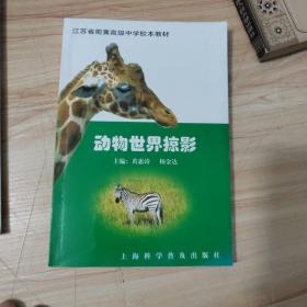 动物世界掠影