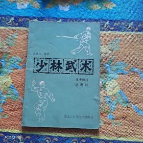 少林武术——连手短打、达磨杖