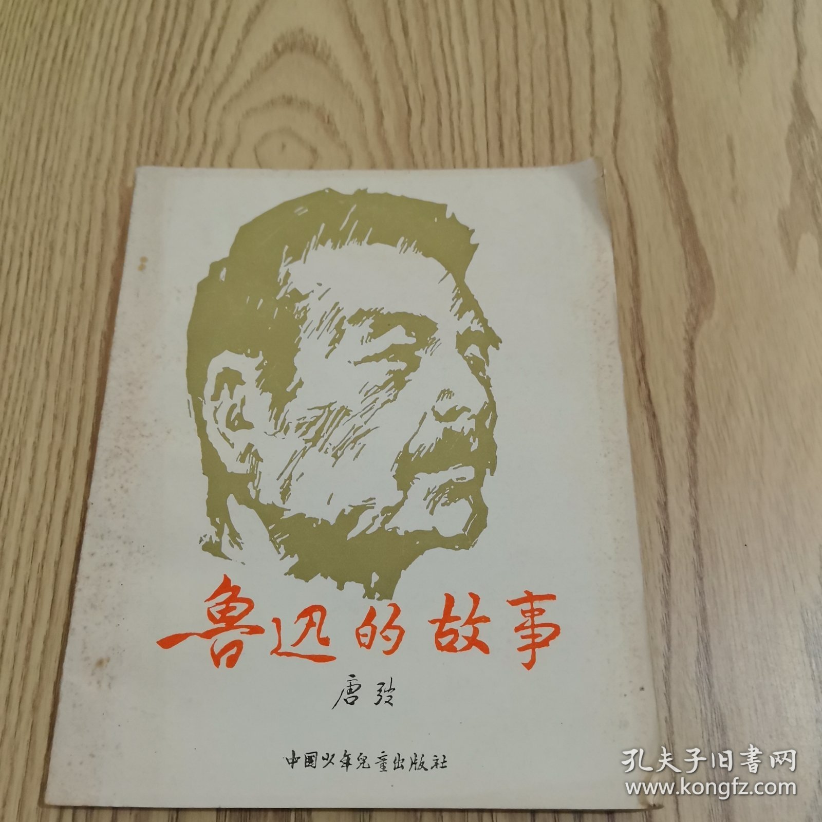 鲁迅的故事（中国少年儿童出版）