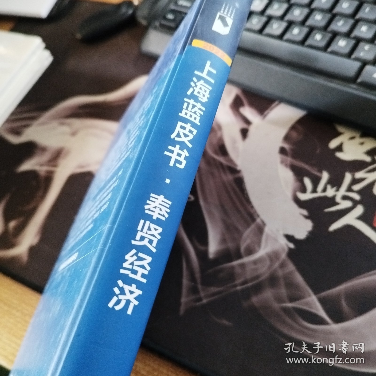 上海奉贤经济发展分析与研判（2021~2022）