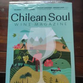 chilean soul 智利 红酒