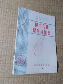 初中代数课外习题集 上册【自然旧 书边泛黄 馆藏盖章 内无写划  实物拍图】