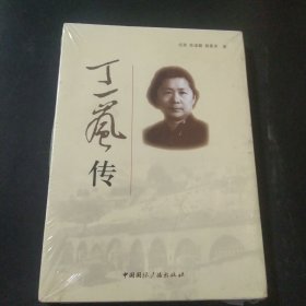 丁一岚传