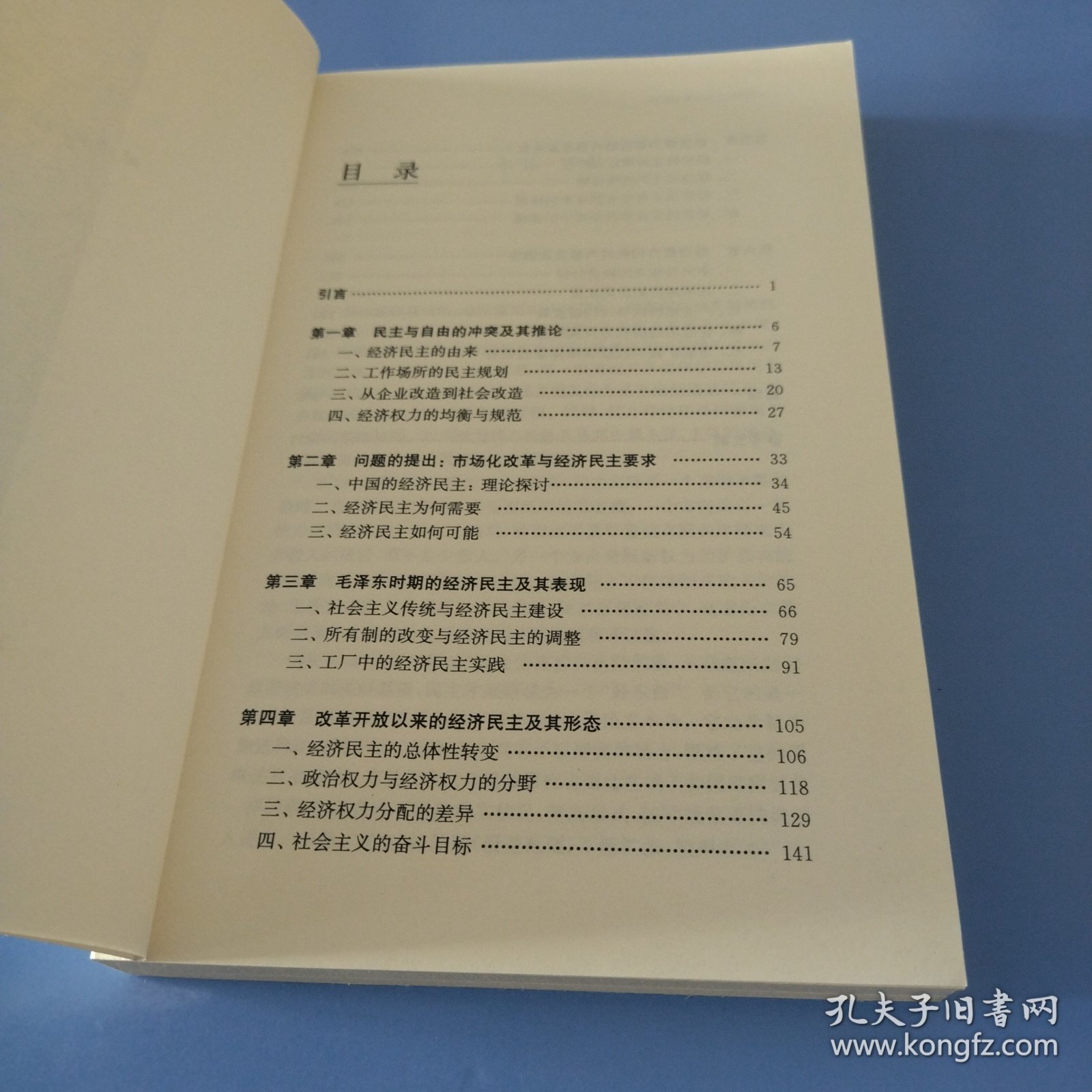 经济权力的均衡与规范 : 中国式经济民主的理论、道路与现实