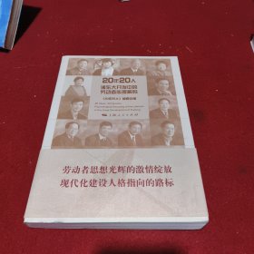 20年20人 : 浦东大开发中的劳动者心理解码