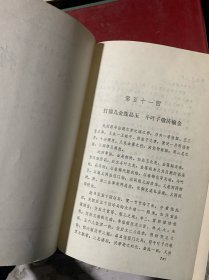 金瓶梅：张竹坡批评第一奇书（精装·全二册）A1-2