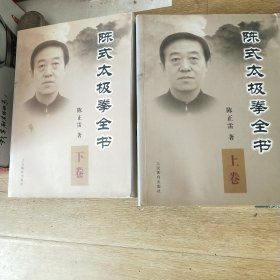 陈式太极拳全书