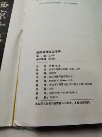 中国历代书法选辑：唐颜真卿多宝塔碑