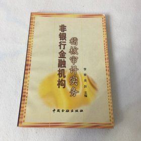 非银行金融机构稽核审计实务