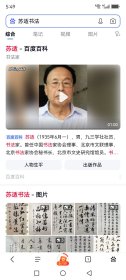 苏适（1935年6月—），男，九三学社社员，书法家。曾任中国书法家协会理事、北京市文联理事、北京书法家协会秘书长、北京市文史研究馆馆员。书法作品被收入《当代中国书法作品集》《中国书法大观》《当代中国名家书画宝鉴》，以及在日本出版的《中国当代墨宝集》等书法专集，出版专著《苏适行楷古赋六篇》。多幅书法作品被人民大会堂、国家博物馆、首都博物馆、故宫博物院、中国美术馆等收藏。