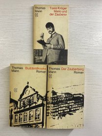 Thomas Mann：Der Zauberberg／Buddenbrooks／Tonio Kroger Mario und der Zauberer（3本合售）1980年德文原版（32开）正版如图