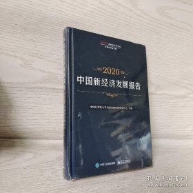 中国新经济发展报告2020