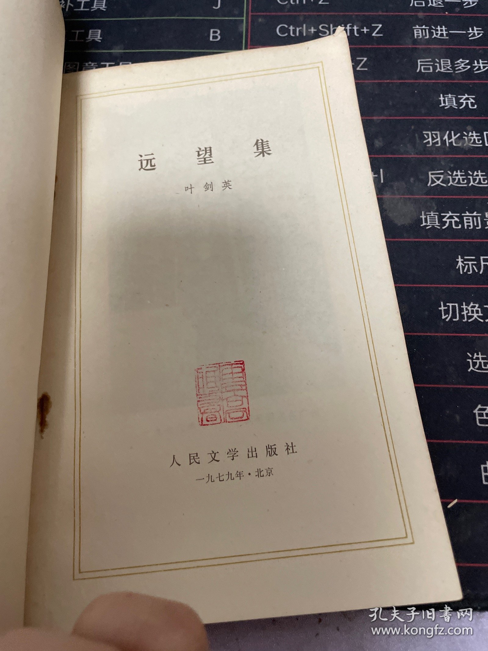 远望集