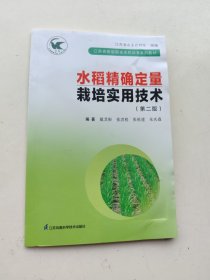 水稻精确定量栽培实用技术