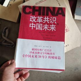 改革共识与中国未来