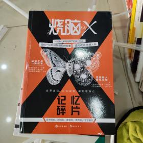 烧脑X2.记忆碎片