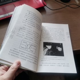 大成拳 科学站桩功