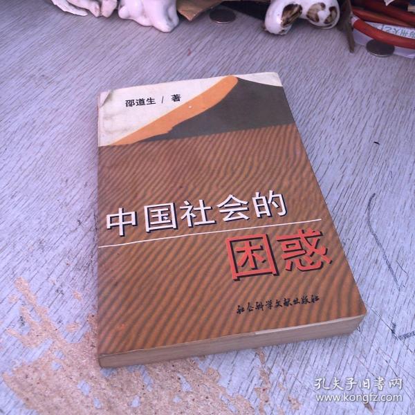 中国社会的困惑