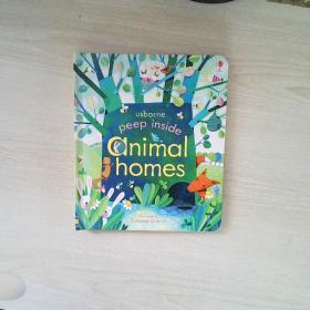 Peep Inside Animal Homes  Board book