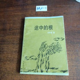 途中的根