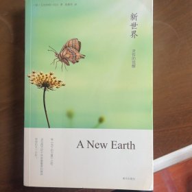 新世界：灵性的觉醒