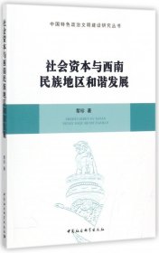 社会资本与西南民族地区和谐发展/中国特色政治文明建设研究丛书