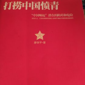 打捞中国愤青