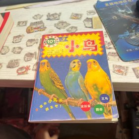 可愛(ài)寵物的飼養(yǎng)方式101 小鳥(niǎo)