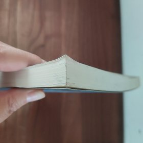 高瓦斯隧道施工指南：以家竹箐隧道为例 人民交通出版社 姚振武 9787114070044