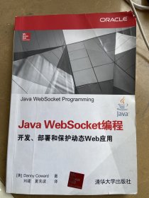 Java WebSocket编程 开发、部署和保护动态Web应用
