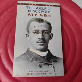 the souls of black folk（货号a83)