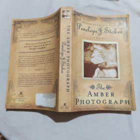 THE AMBER PHOTOGRAPH