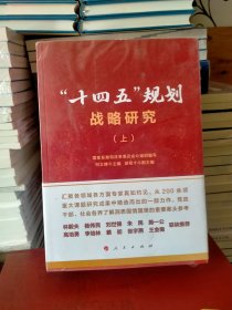 “十四五”规划战略研究（上、中、下册）