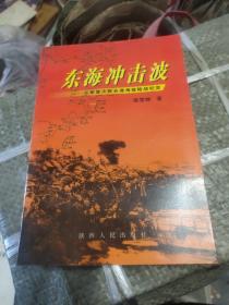 东海冲击波:三军首次联合渡海登陆战纪实