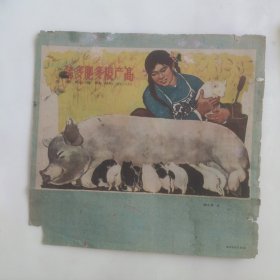 猪多肥多粮产高(封皮1960年)