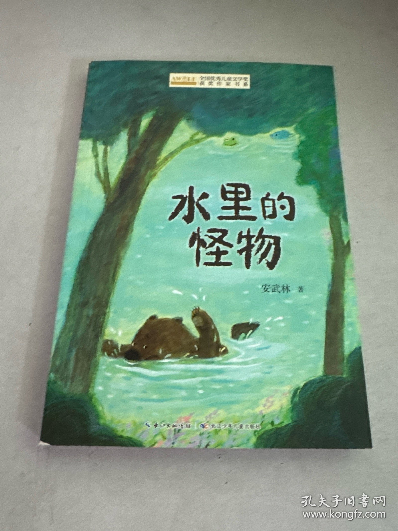 全国优秀儿童文学奖获奖作家书系——水里的怪物