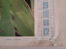 老年画 1986年历画 1985年山东美术出版