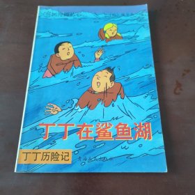 丁丁历险记：丁丁在鲨鱼湖